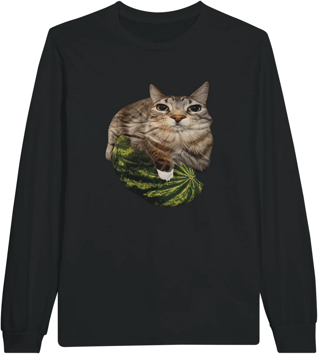 Melonen-Katze – Schwarz