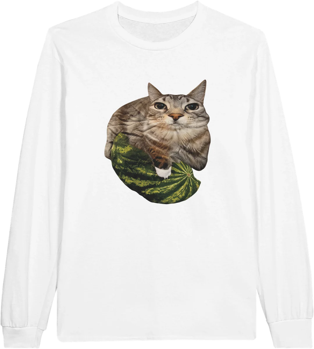 Melonen-Katze – Weiß