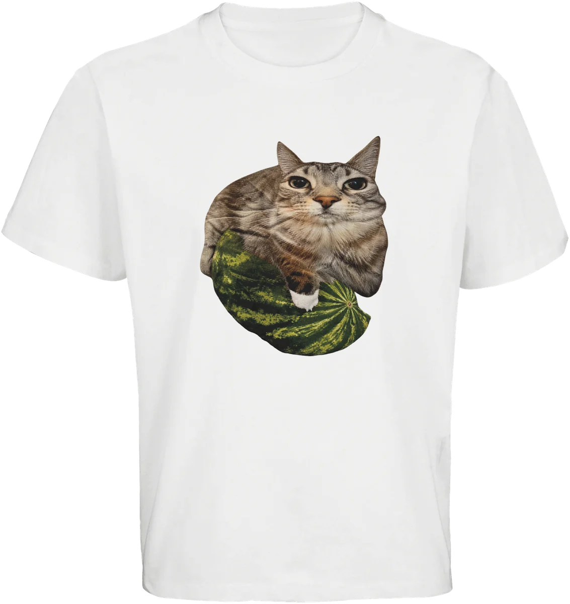 Melonen-Katze – Weiß