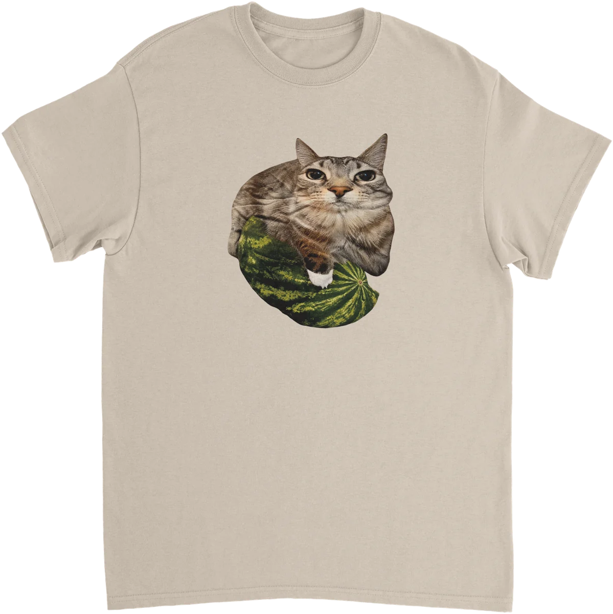 Melonen-Katze – Sand