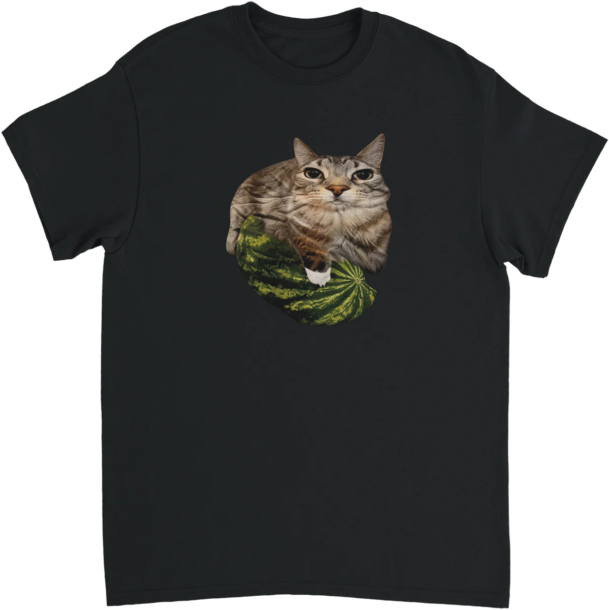 Melonen-Katze – Schwarz