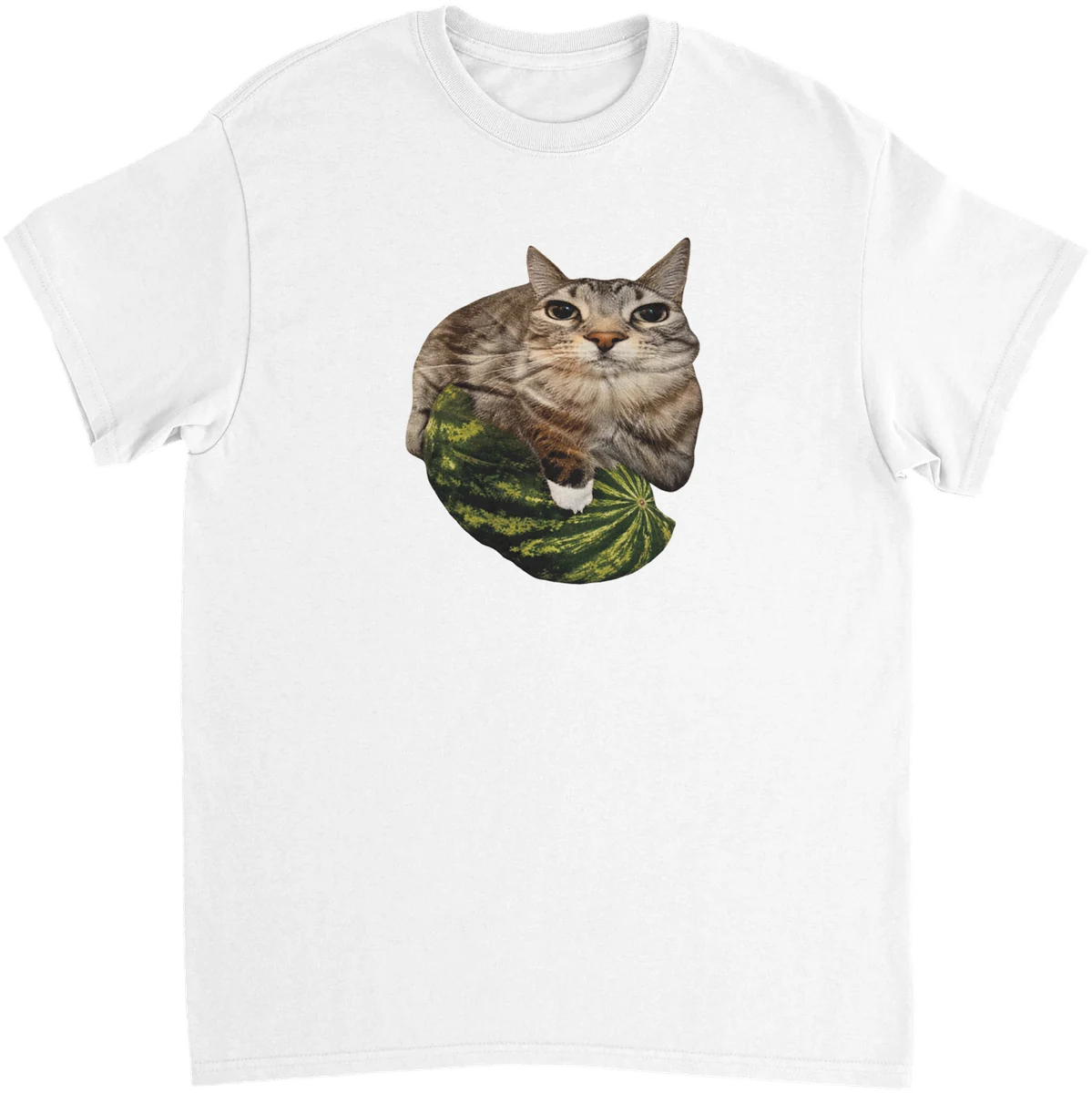 Melonen-Katze – Weiß